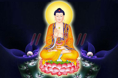 Bodhi Dharma