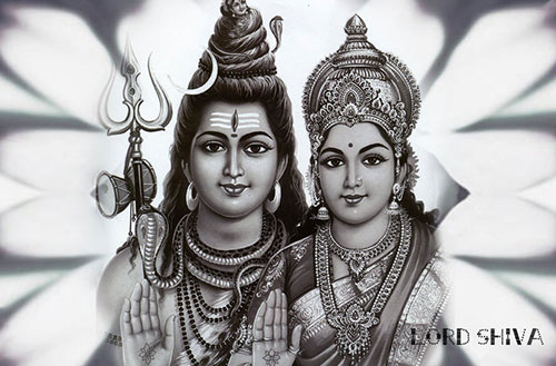 Shiv Parvati Wallpapers - HD images, pictures, photos | Download Shiv Parvati  images for free