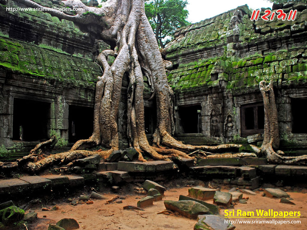 Angkor Wat, The Temple City