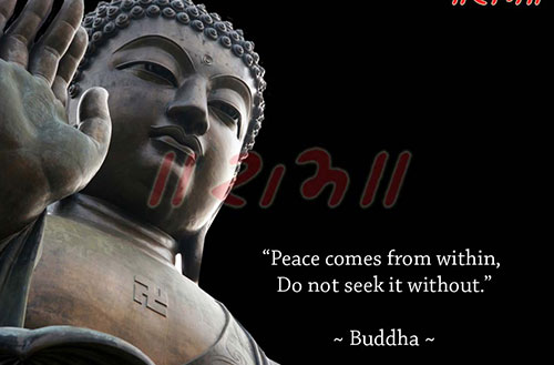 Budhha Quotes
