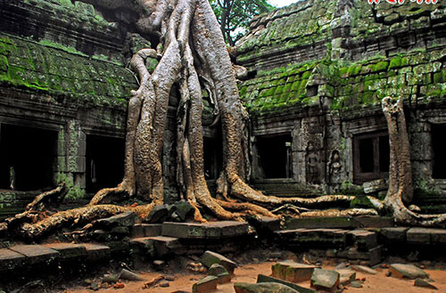 Angkor Wat, The Temple City